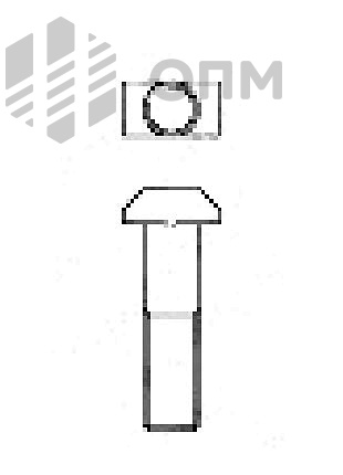 DIN 261 Болт пазовый
