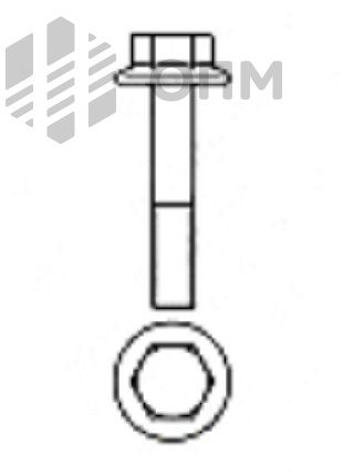 EN 1665 Болт шестигранный с фланцем