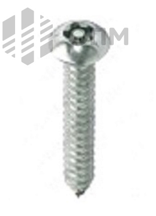 ОПМ 106039 Саморез антивандальный для листового металла, полукруглая головка со шлицем TORX plus и штырьком (PIN) 