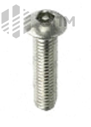 ОПМ 101023 Винт антивандальный, полукруглая головка с внутренним шестигранником и штырьком (PIN)
