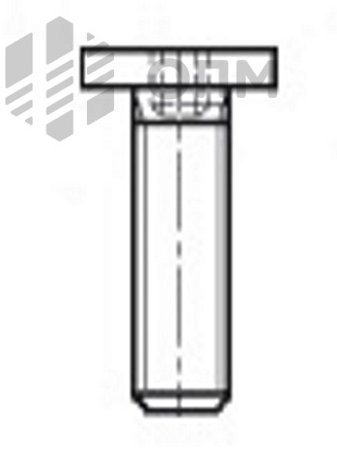 ОПМ 101084 Винт с плоской головкой и шлицем Torx 