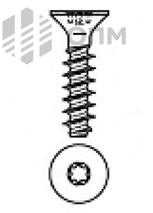 ОПМ 106008  Саморез по термопластам потай со шлицем Torx plus (EJOT WN 1423)