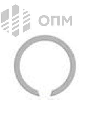 ОПМ 108006 Кольцо стопорное DHI (JV) эксентрическое осевое внутреннее