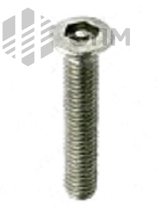 ОПМ 101022 Винт антивандальный, полупотайная головка с внутренним шестигранником и штырьком (PIN)