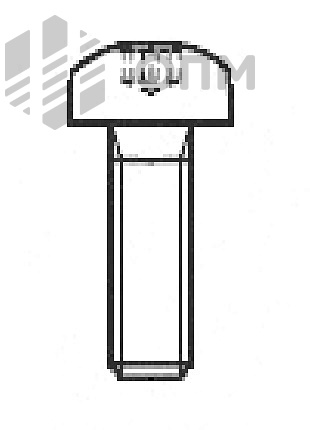 ISO 14583 Винт с цилиндрической скругленной головкой и шлицем TORX 