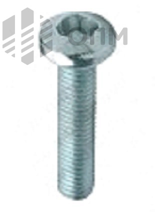 ОПМ 101017 Винт антивандальный, с цилиндрической скруглённой головкой и однонаправленным приводом Sentinel